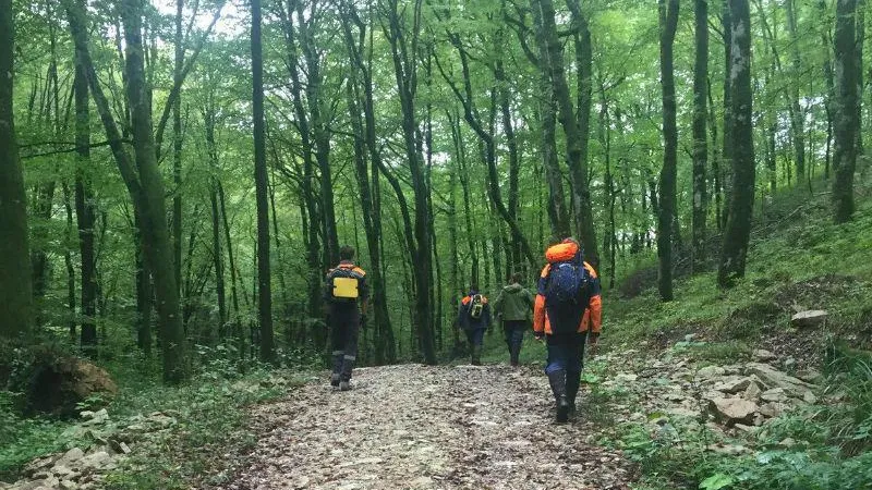 Сорок заблудившихся вывели из леса с начала года в Подмосковье