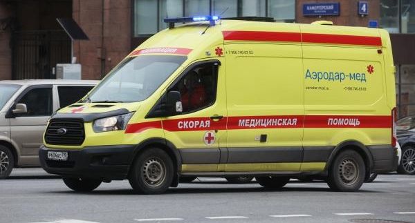 В Забайкалье 9-летний мальчик попал в реанимацию после нападения бездомных собак