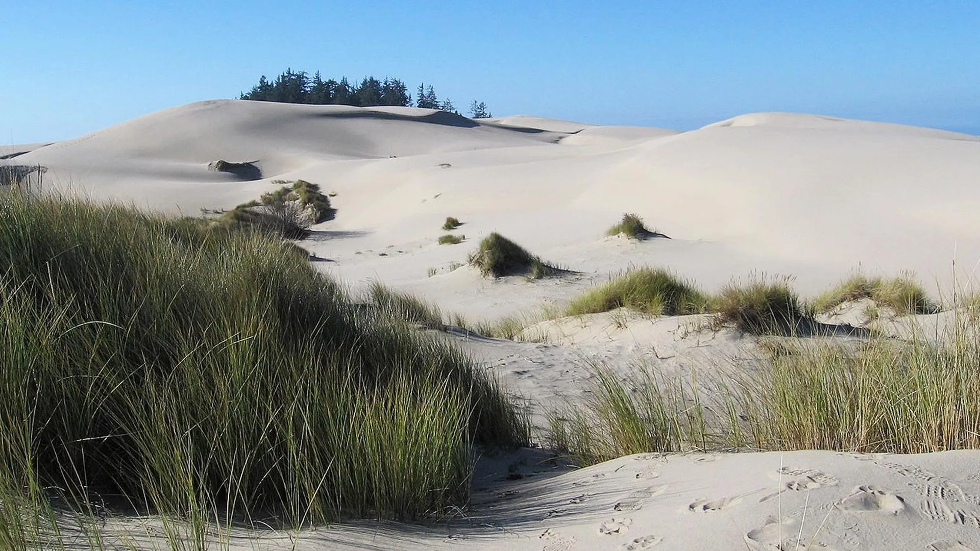 Орегонские дюны, что послужили источником вдохновения для Фрэнка Герберта