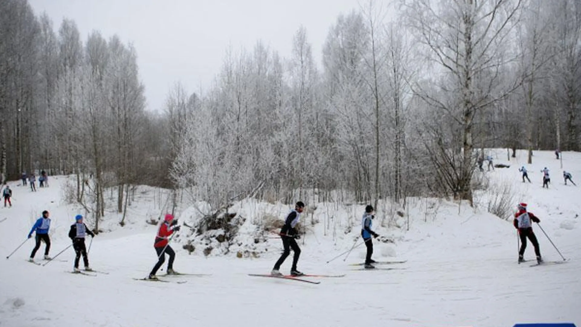 Более 200 человек приняли участие в лыжной гонке в Павловском Посаде