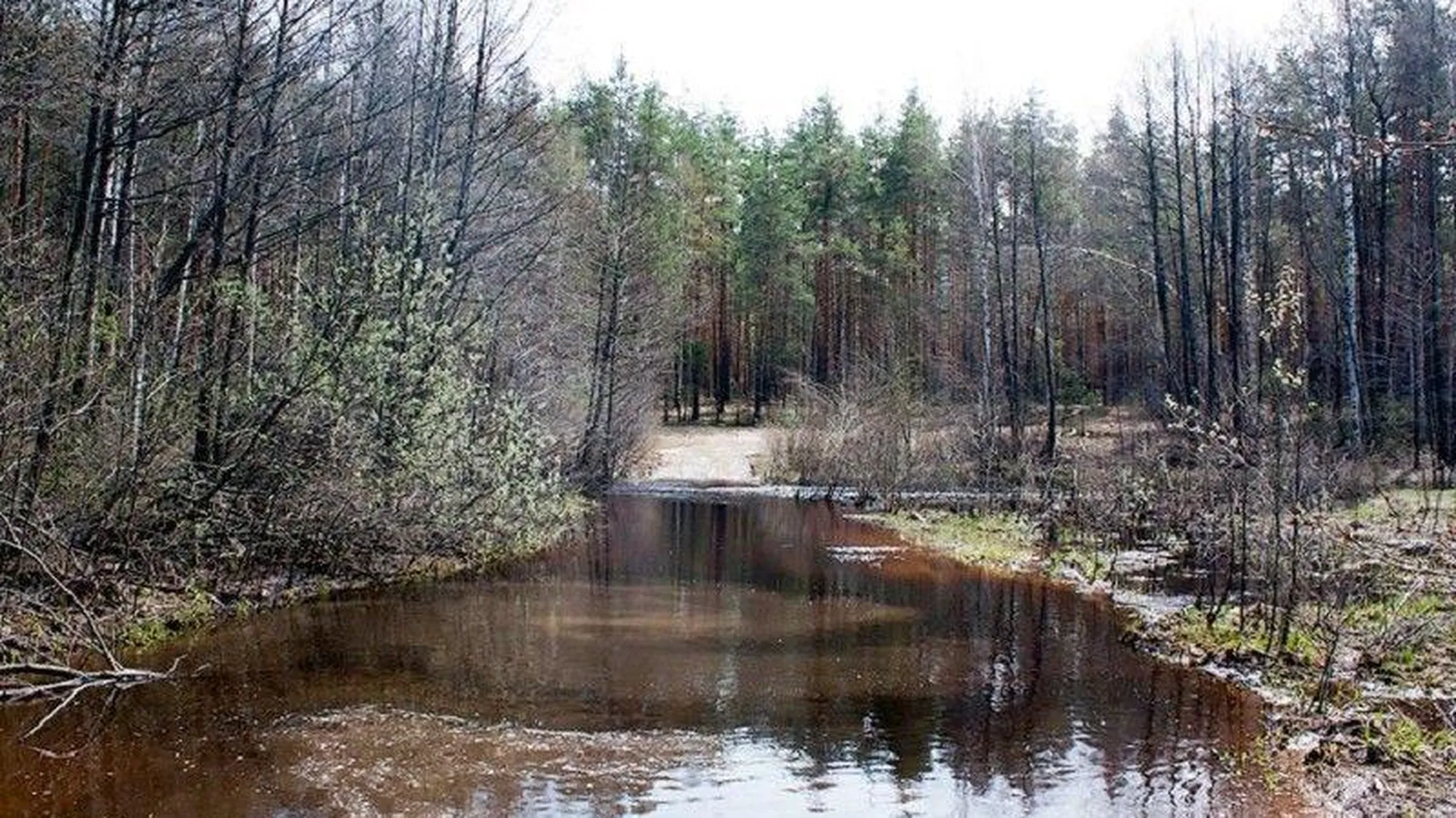 В Подмосковье будет разработан проект по расчистке реки Воймеги