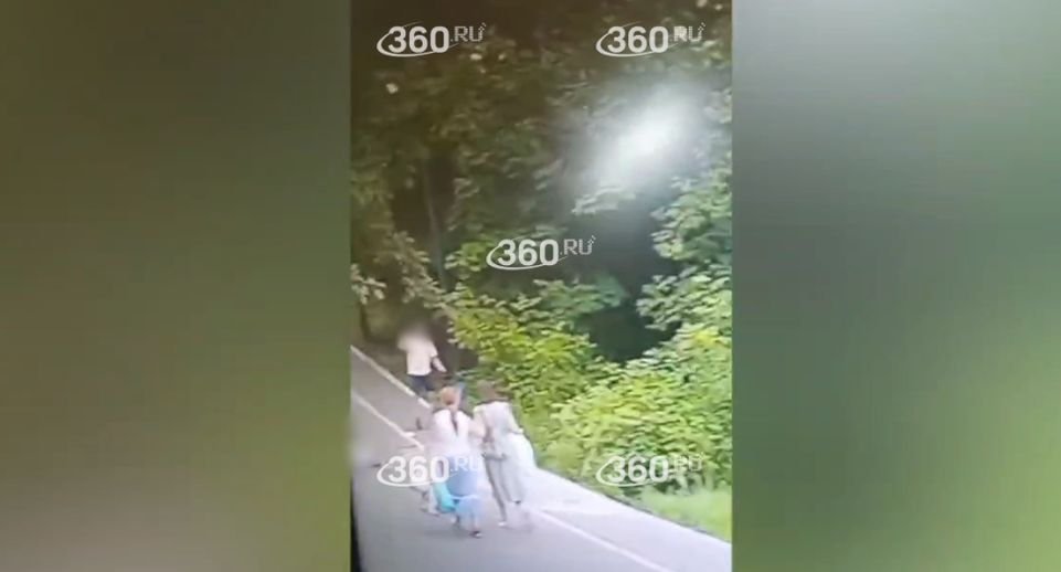 Видео 360.ru: велосипедист сбил восьмилетнюю девочку в парке «Пехорка»