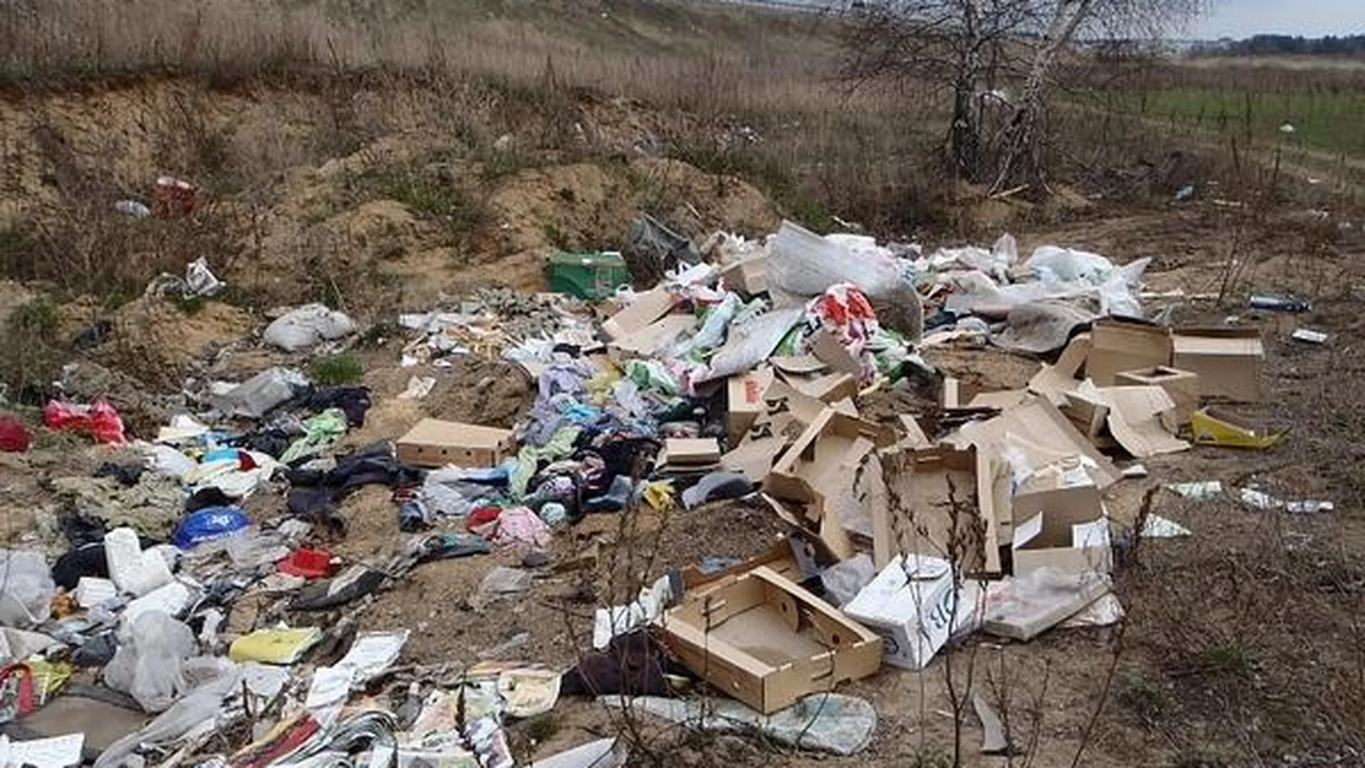 Более 200 кубометров мусора ликвидировали в области за две недели