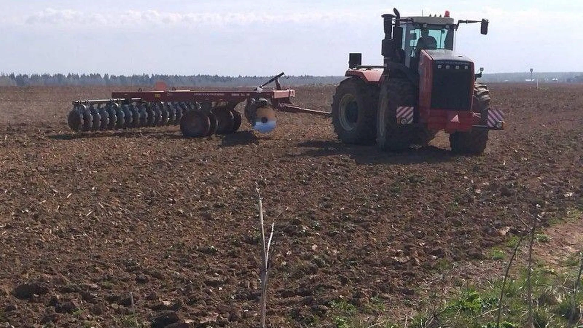 Сельхозорганизация ООО «Лидино» из Рузы получила 18 гектаров земли в рамках господдержки