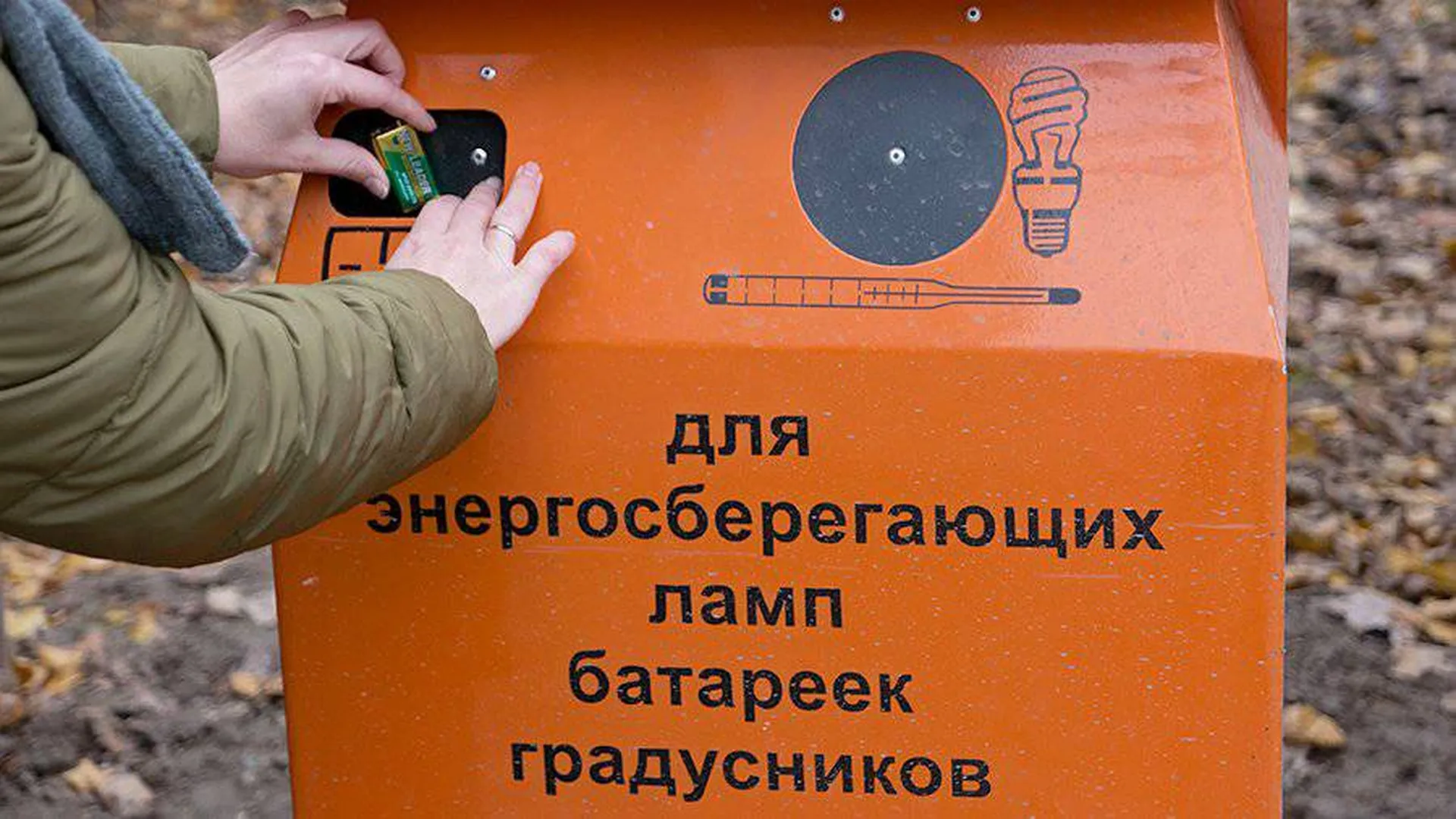 Две трети россиян неправильно выбрасывают батарейки — опрос РЭО