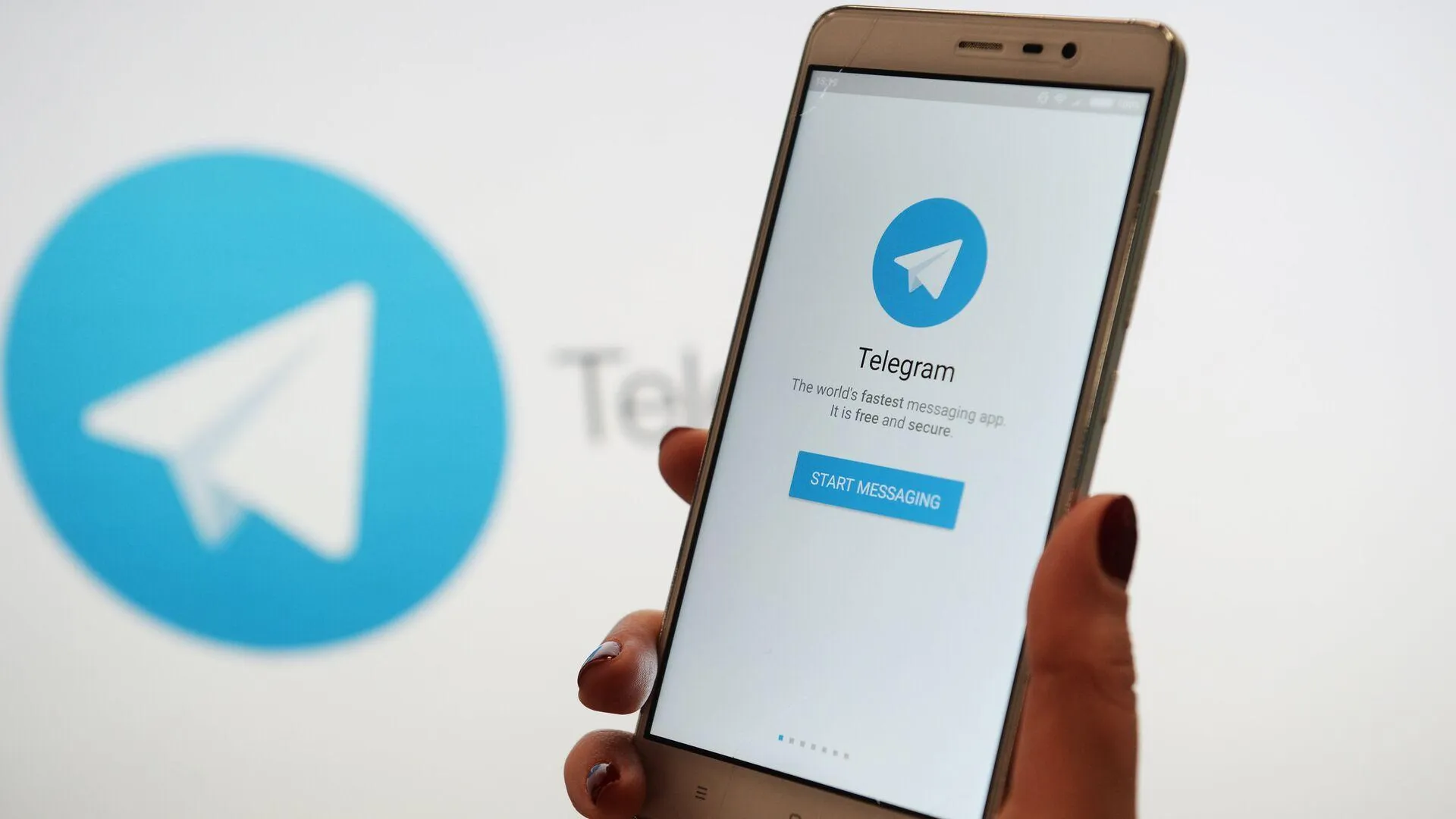 Глава проекта «Рыбарь» рассказал, почему люди идут за новостями в Telegram