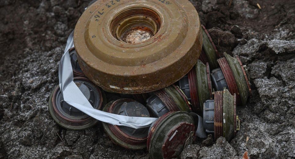 Источник 360.ru: при очистке карьера на западе Москвы нашли мину