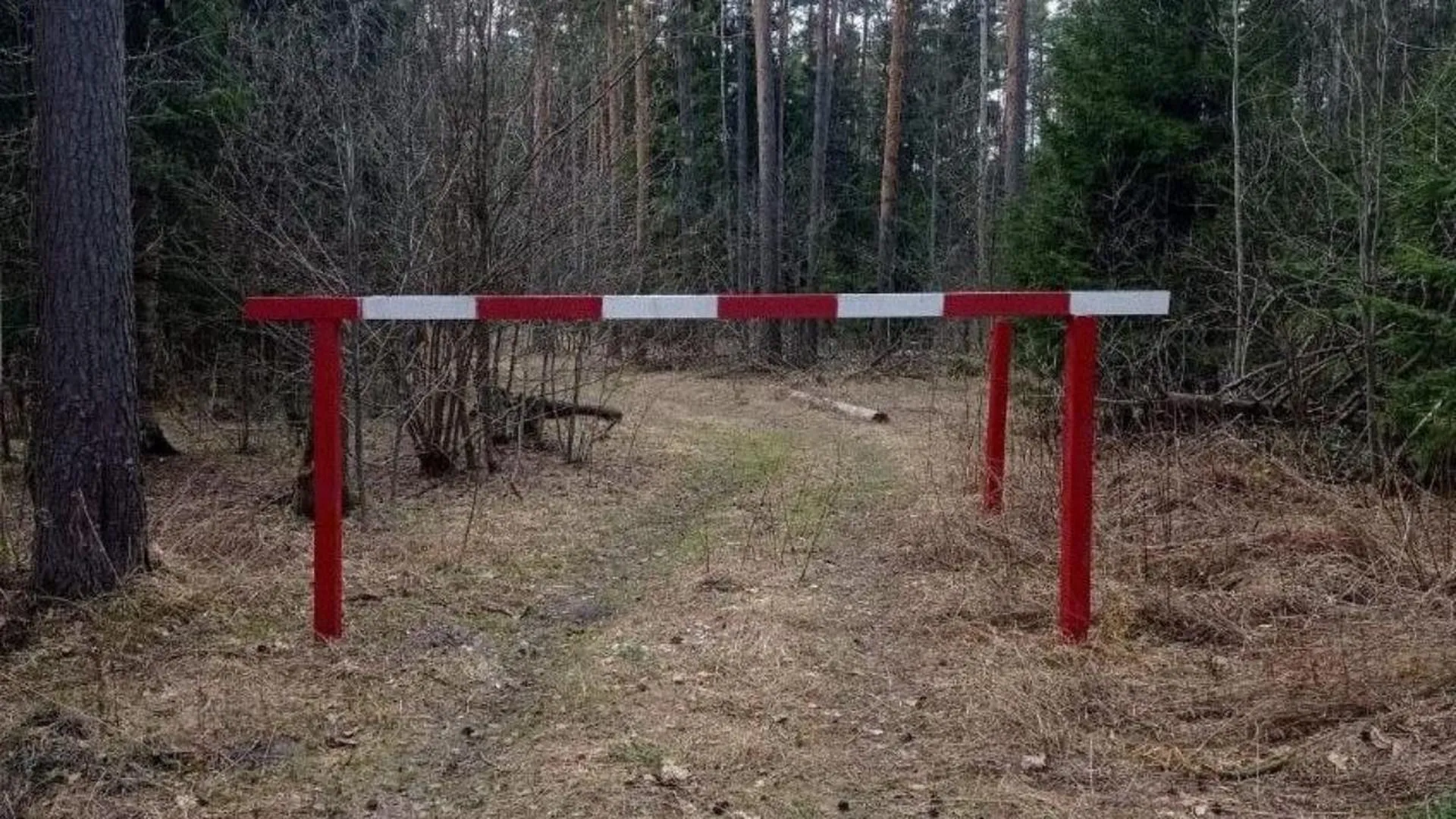 Мероприятия по противопожарному обустройству лесов. Противопожарное обустройство лесов. Общевойсковая полоса препятствий схема. Противопожарные мероприятия в лесу. Противопожарное обустройство лесов.