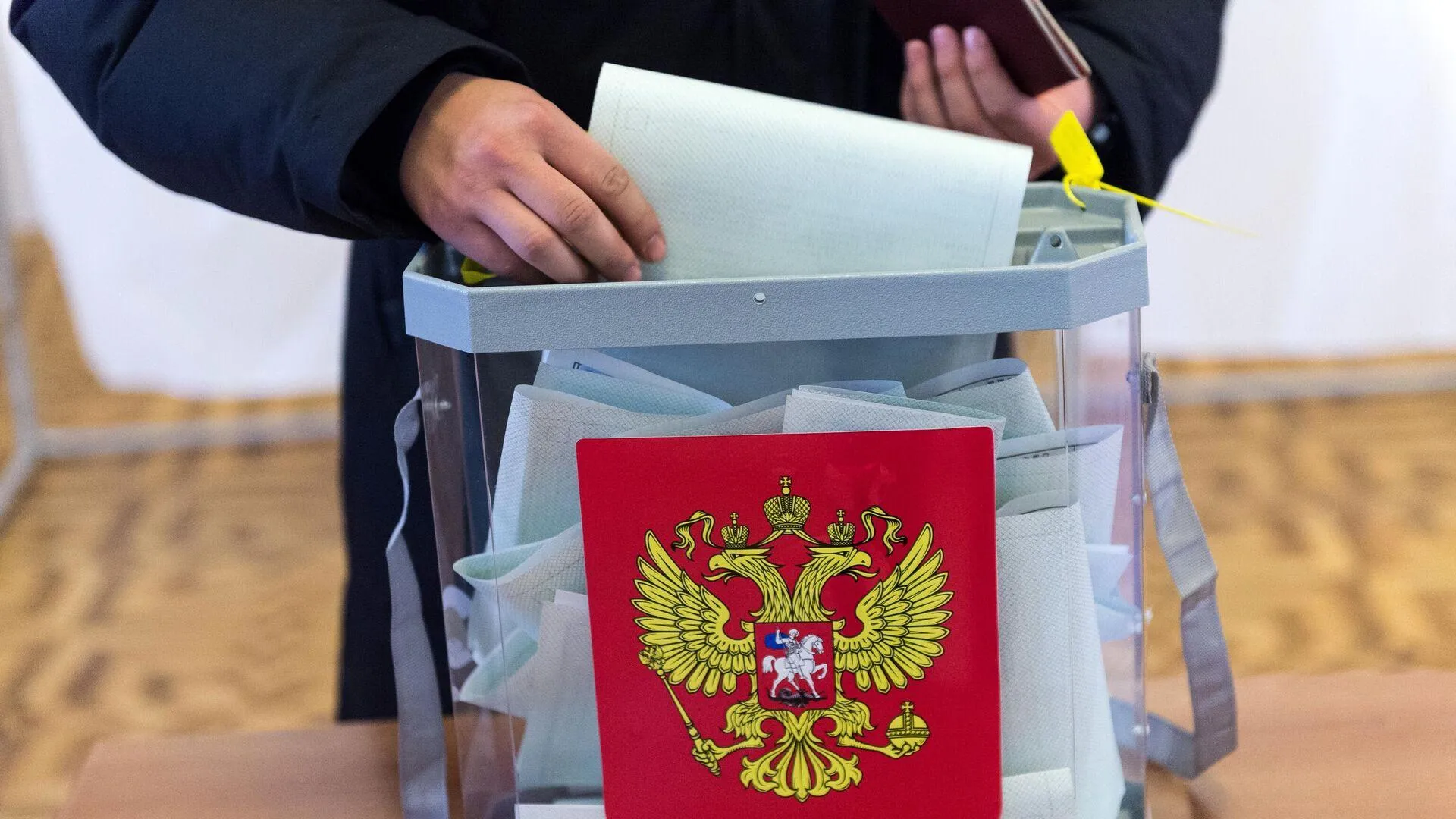 Почти 80% россиян заявили о готовности проголосовать за Путина