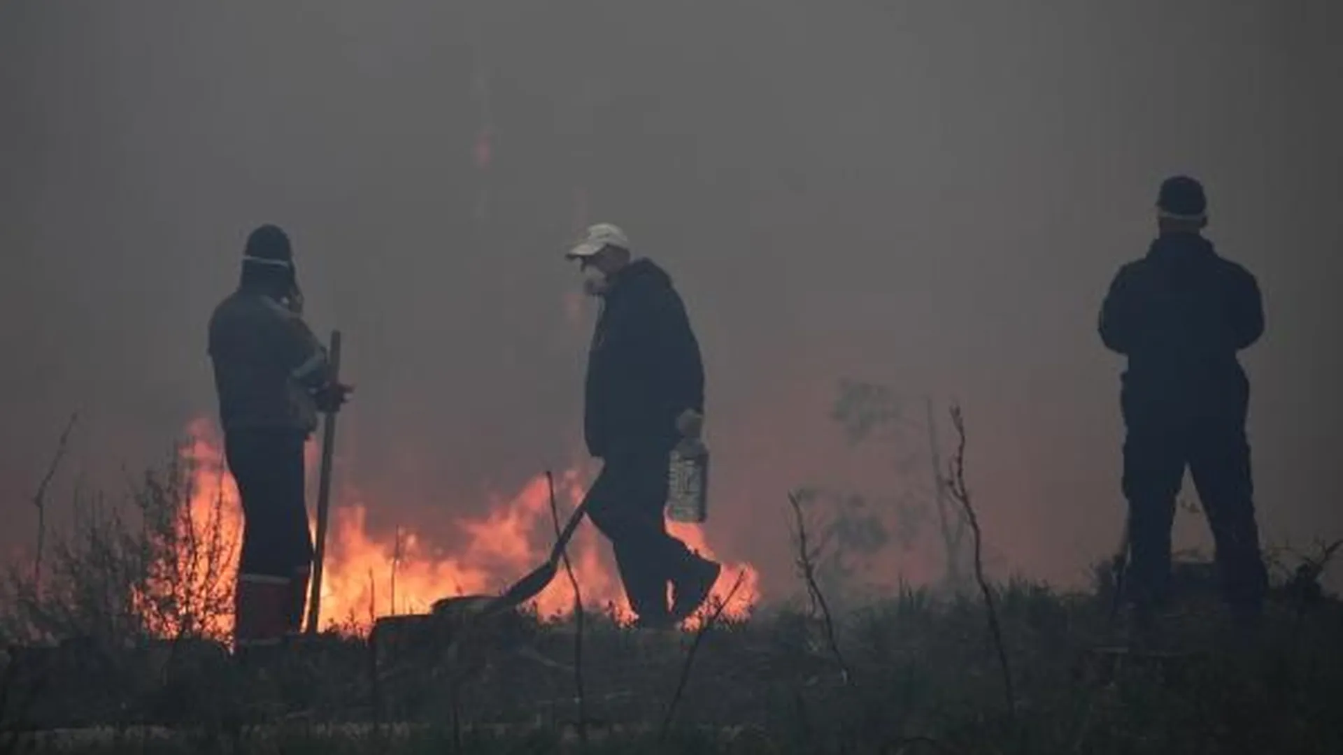 В Евросоюзе предупредили об ухудшении качества воздуха из-за лесных пожаров