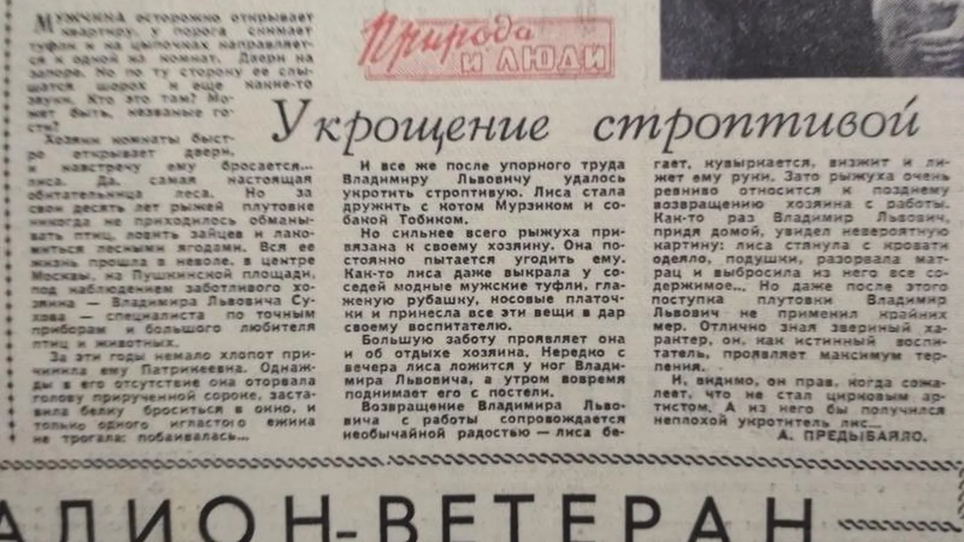 Рыжая бестия: о чем писала газета 15 июня 1962 года