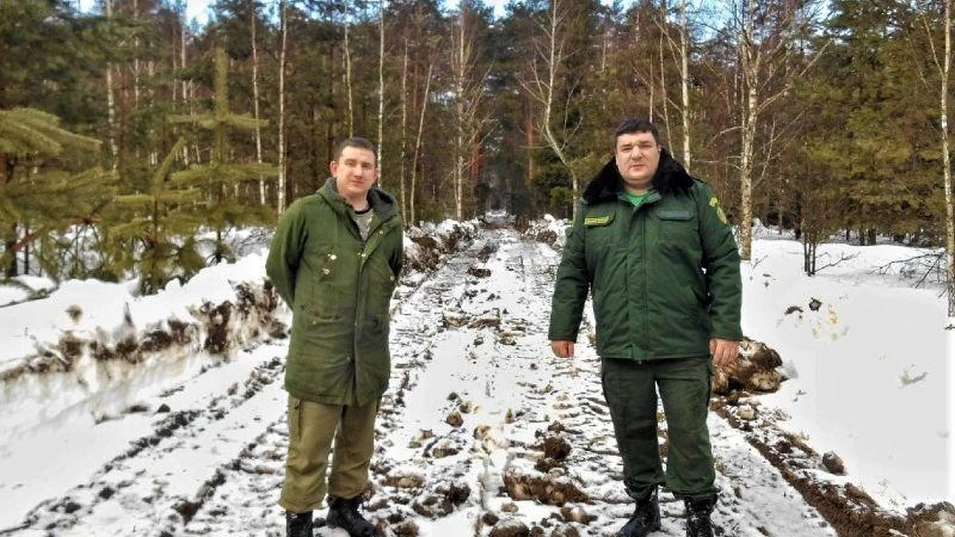 Пресс-служба Комитета лесного хозяйства Московской области