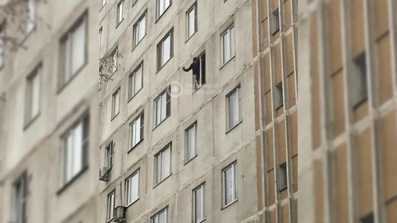Пожарную машину пригнали для спасения психа из окна в Одинцове