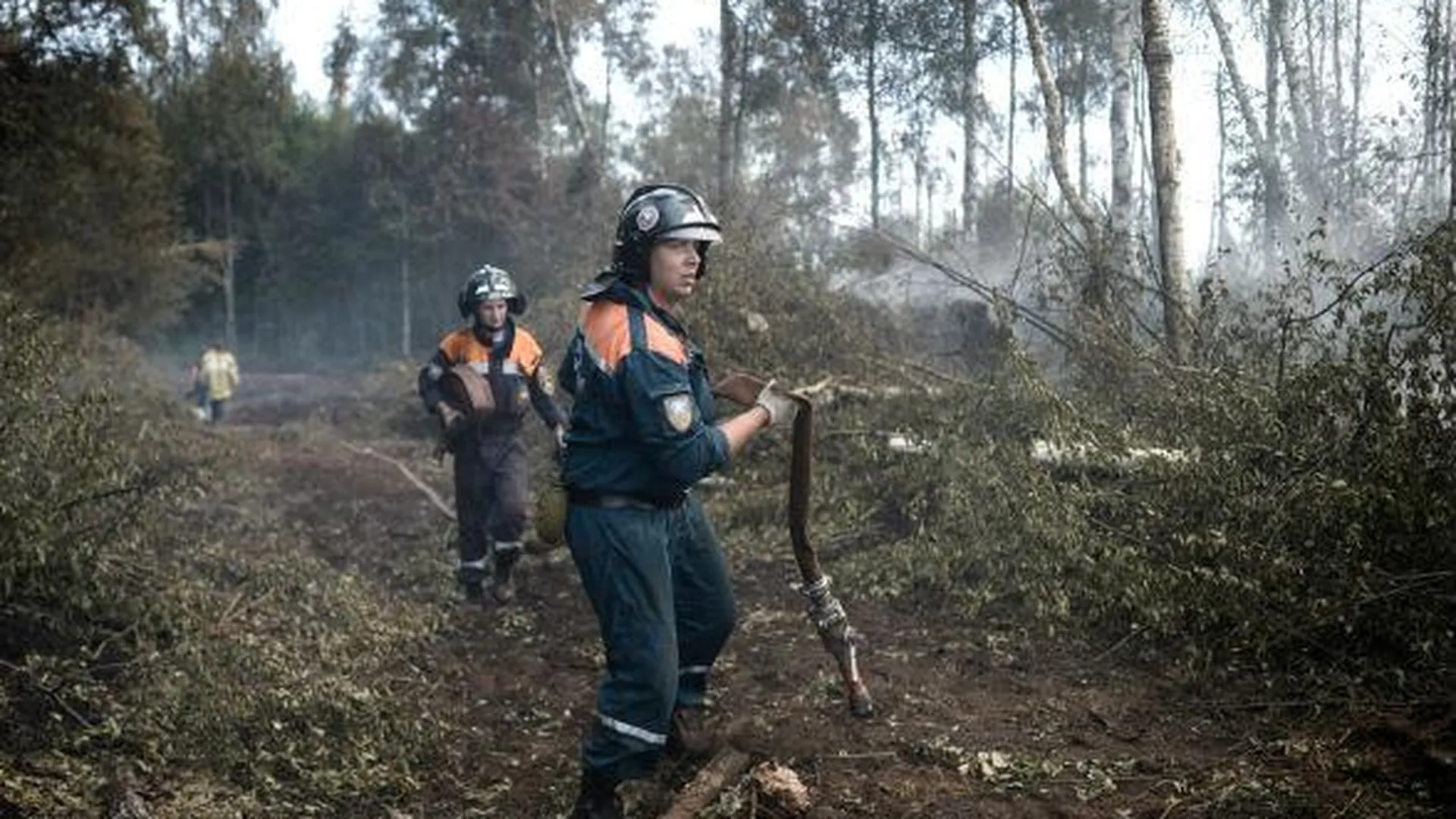 Лучшего лесного пожарного выберут в Подмосковье 30 июля