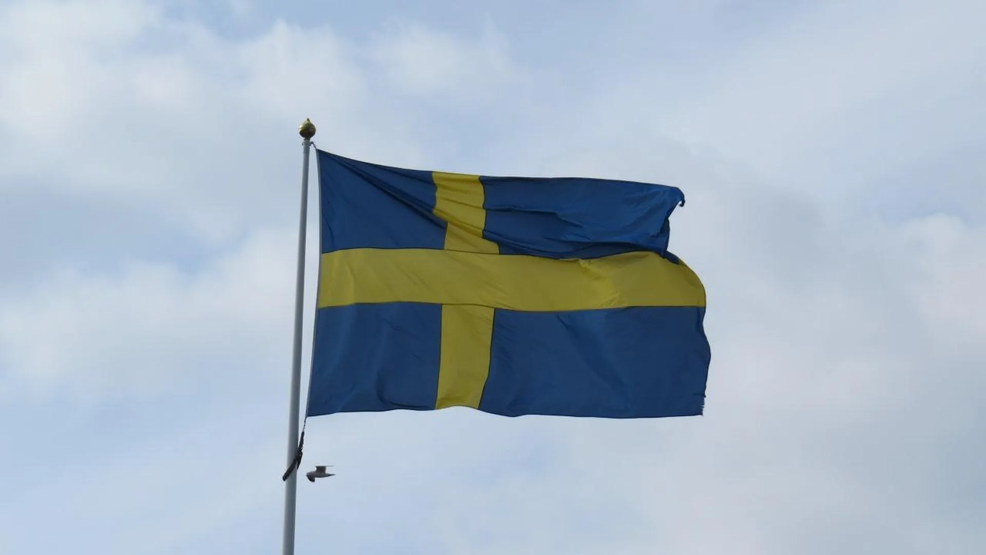 Шведский министр обороны Йонсон исключил возможность отправки войск на Украину