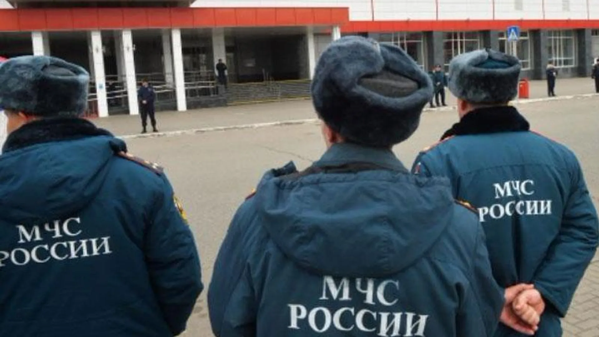 Сотрудник МЧС убил коллегу в Сергиево-Посадском районе