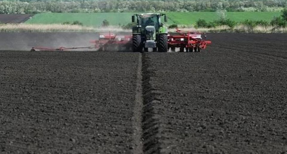 Губернатор Голубев: в Ростовской области ввели режим ЧС из-за гибели посевов