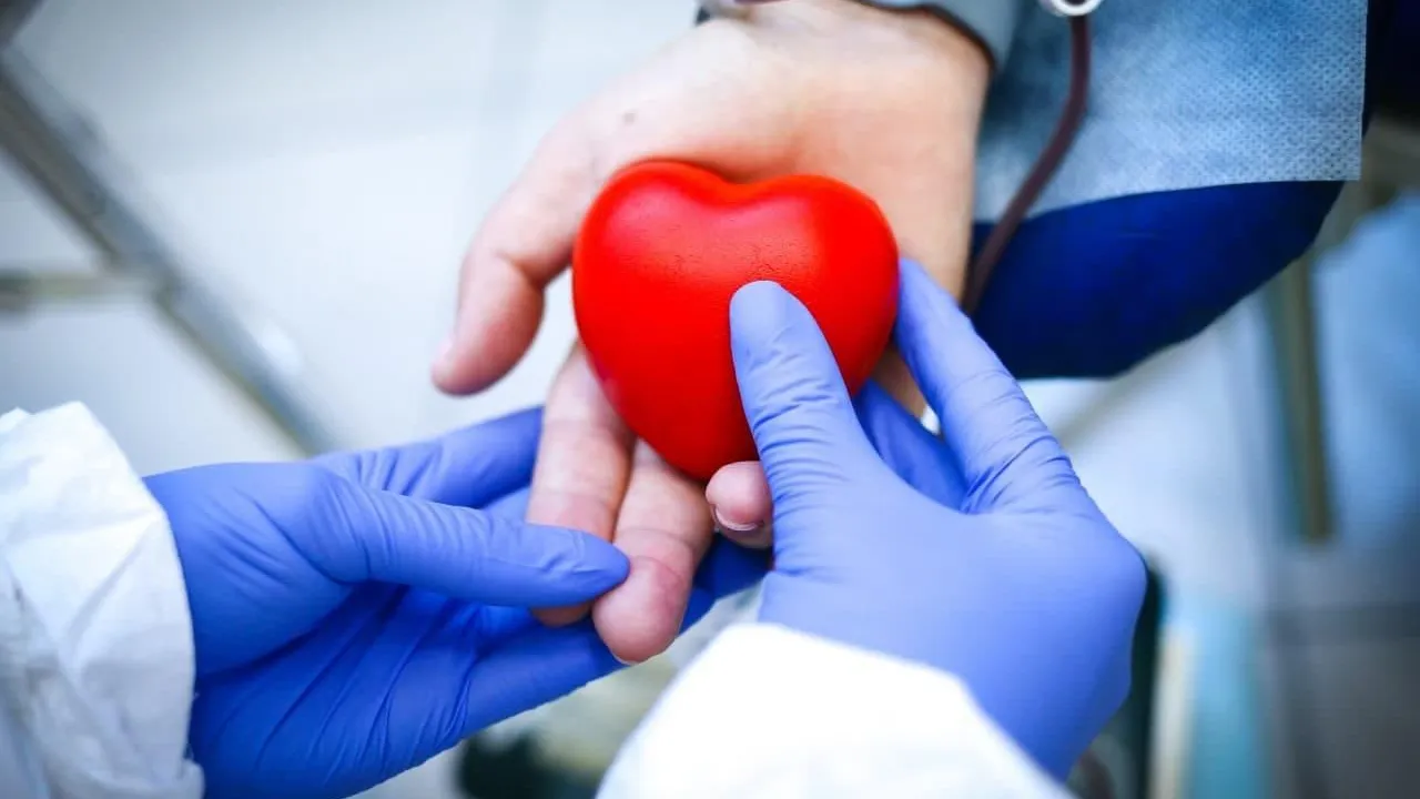 С начала этого года в Подмосковье заготовили более 33 тонн донорской крови и ее компонентов
