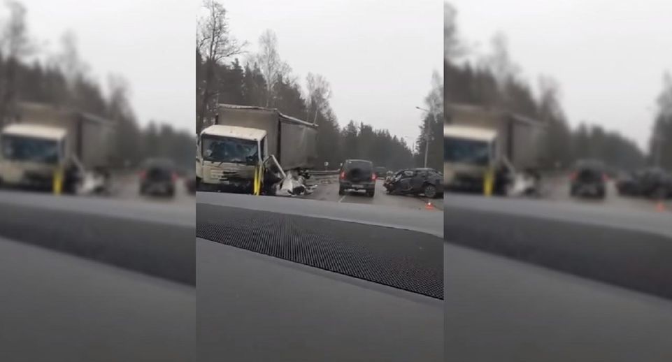 Легковушка и грузовик столкнулись на Егорьевском шоссе в Подмосковье