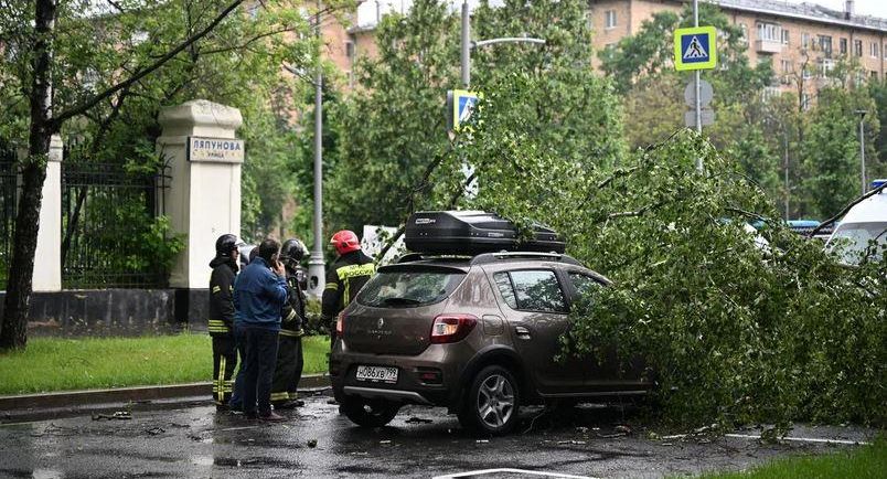 Непогода в Ленобласти привела к госпитализации трех жителей