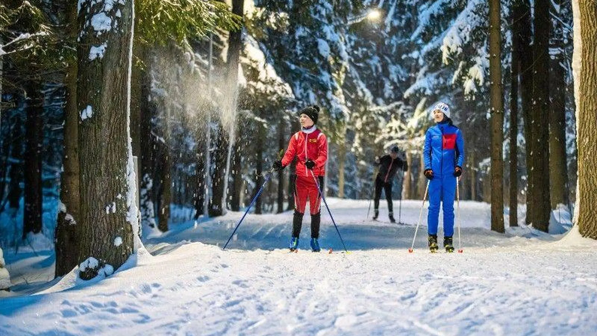 ТОП-15 популярных лыжных трасс назвали в Подмосковье