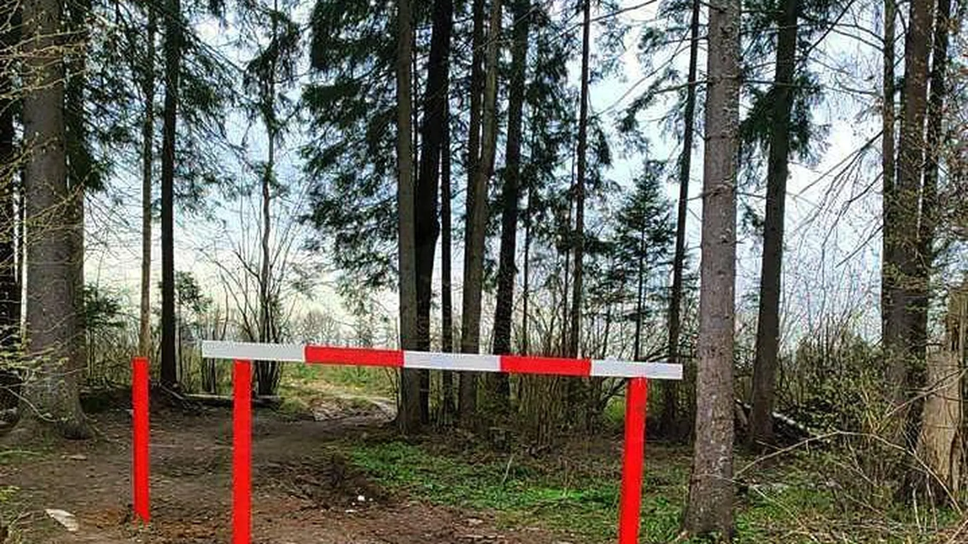Свыше 40 новых шлагбаумов установили в лесах Подмосковья