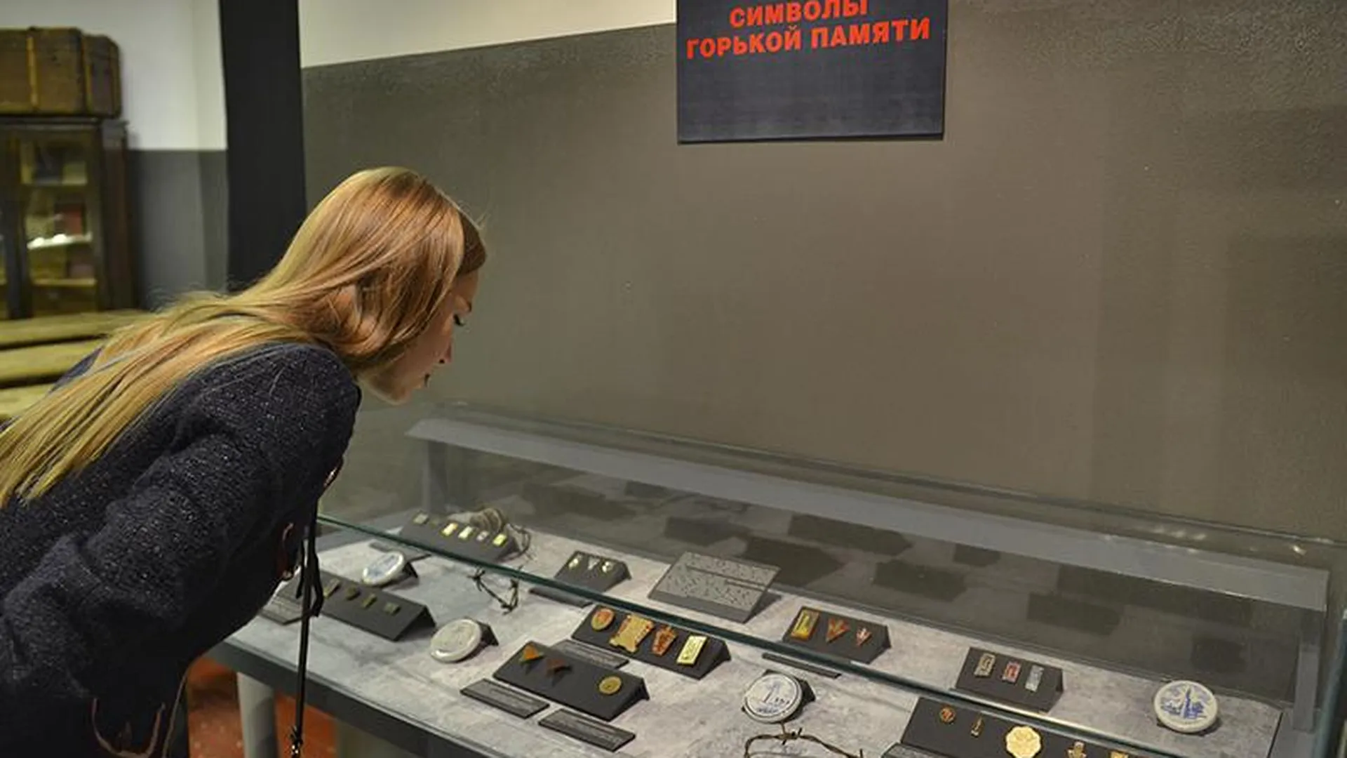Выставка, приуроченная к Международному дню освобождения узников фашистских концлагерей, открылась в Красногорске