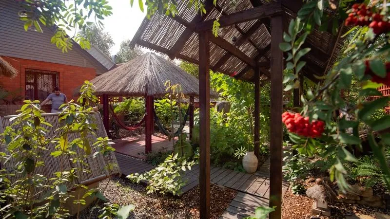 С видом на Бали: дачник из Подмосковья вырастил уникальный тропический сад на своем участке 