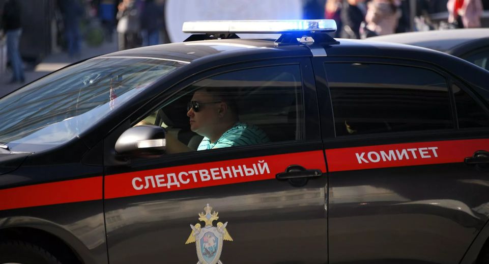 Глава СК Бастрыкин поручил доложить о ходе дела о покушении на девушку в Москве