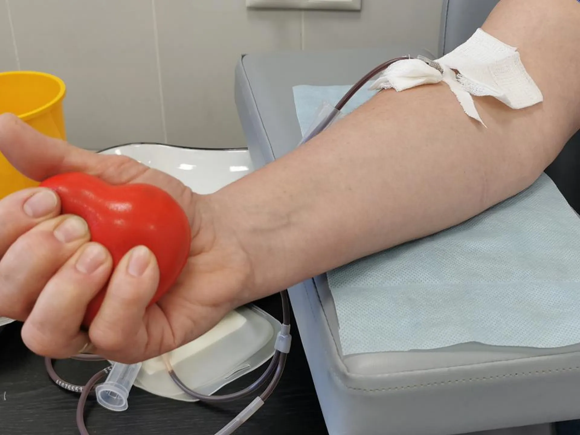 «Живем в период бесконечных угроз»: в Госдуме хотят наделить доноров крови особым статусом