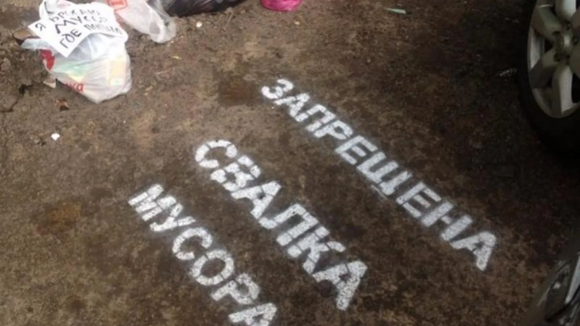 «Креативные хрюши» мусорят на улицах Пушкина