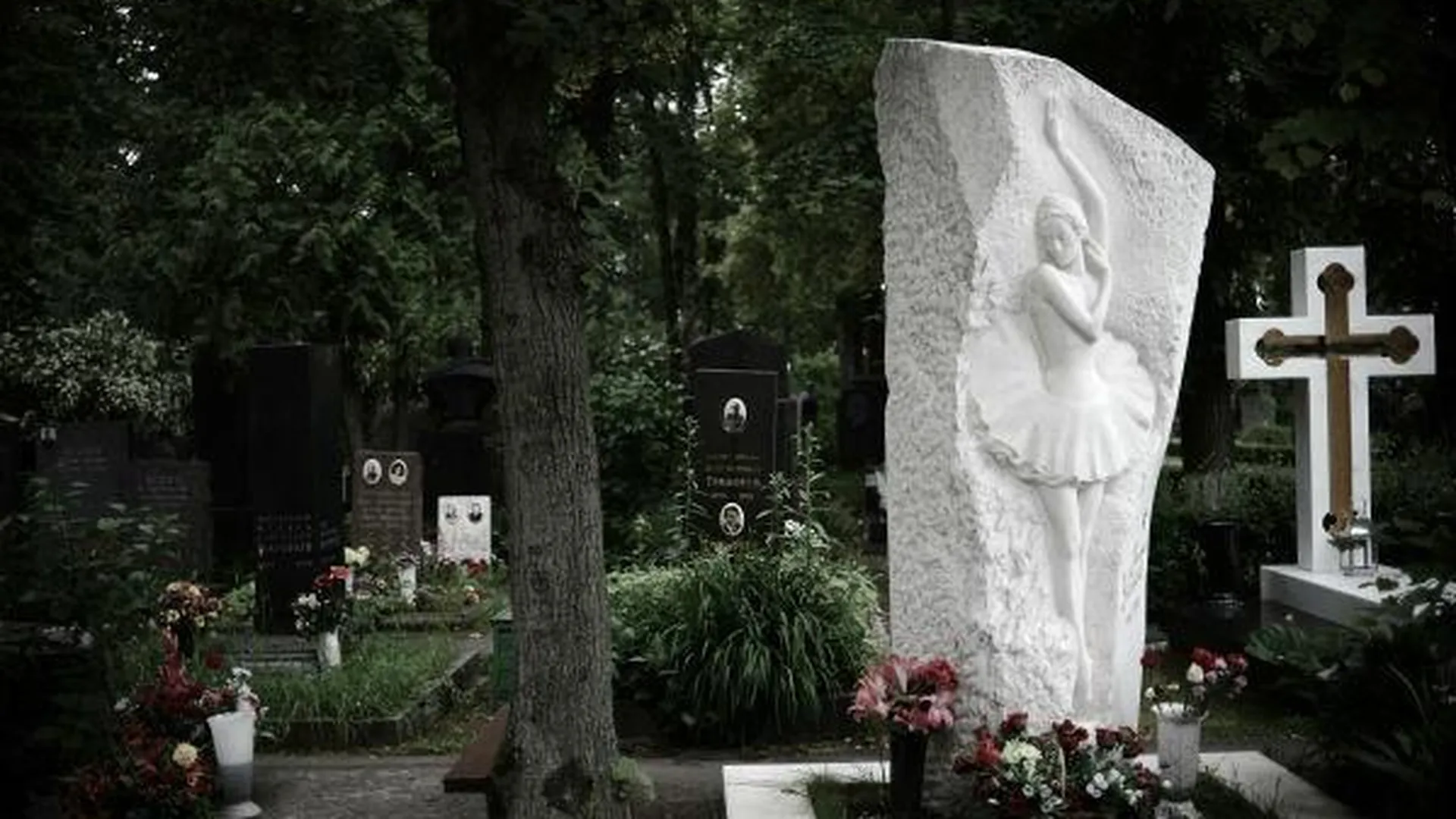 Зоны бесплатного Wi-Fi появятся на ключевых кладбищах Москвы