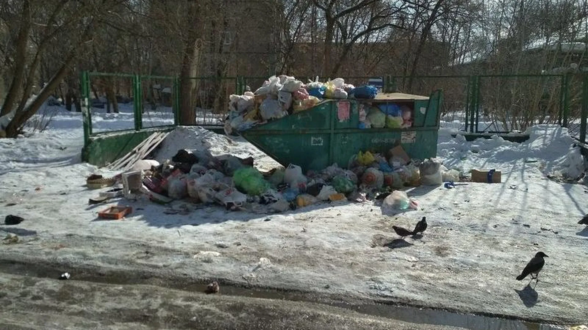 Улицы Жуковского обросли мусорными кучами