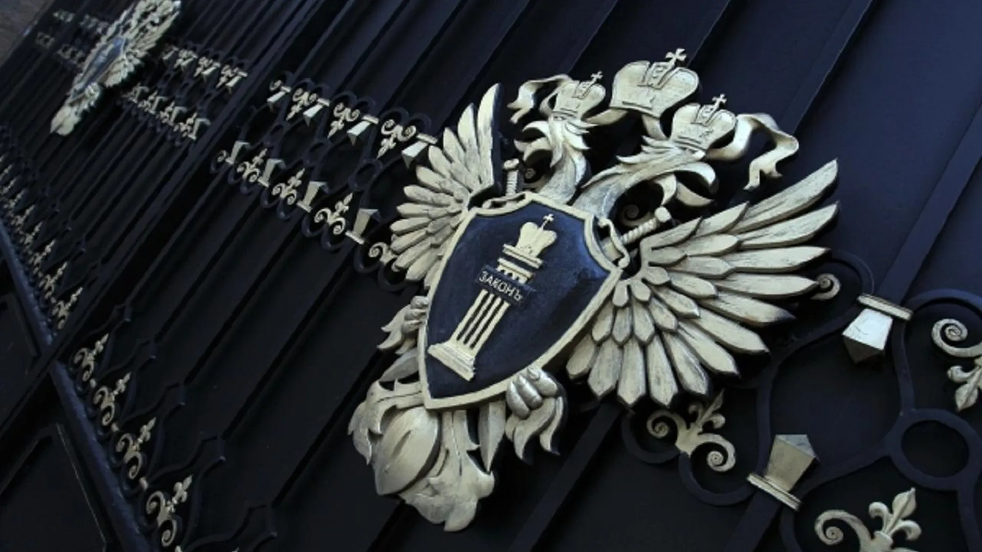 Прокуратура начала проверку после нападения алабая на девятилетнего ребенка в Дмитрове