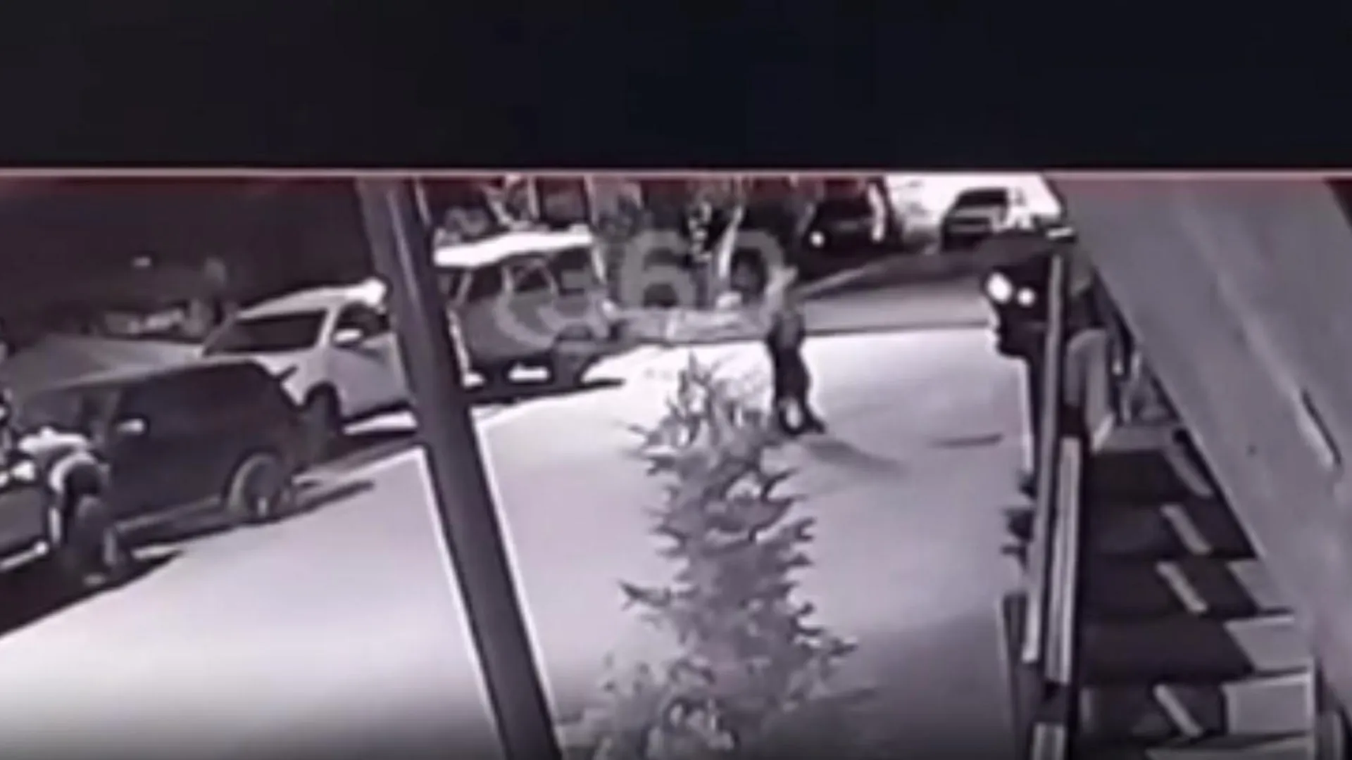 Житель элитного поселка в Сочи выстрелил в собаку на улице