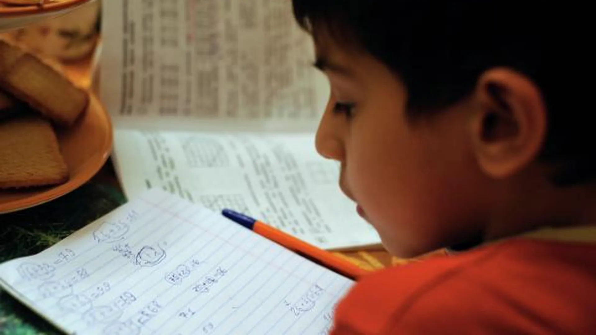 Психолог Маденко назвала время, которое должен тратить школьник на домашние задания