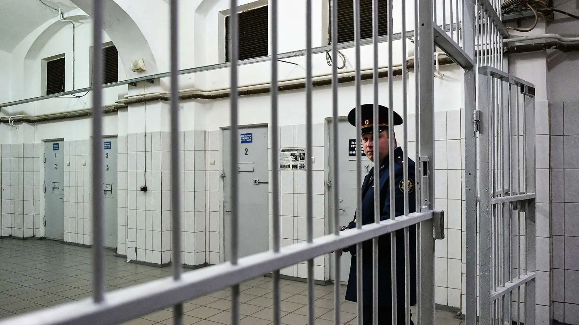 Сбившую троих детей на переходе в Москве студентку Башкирову оставили в СИЗО