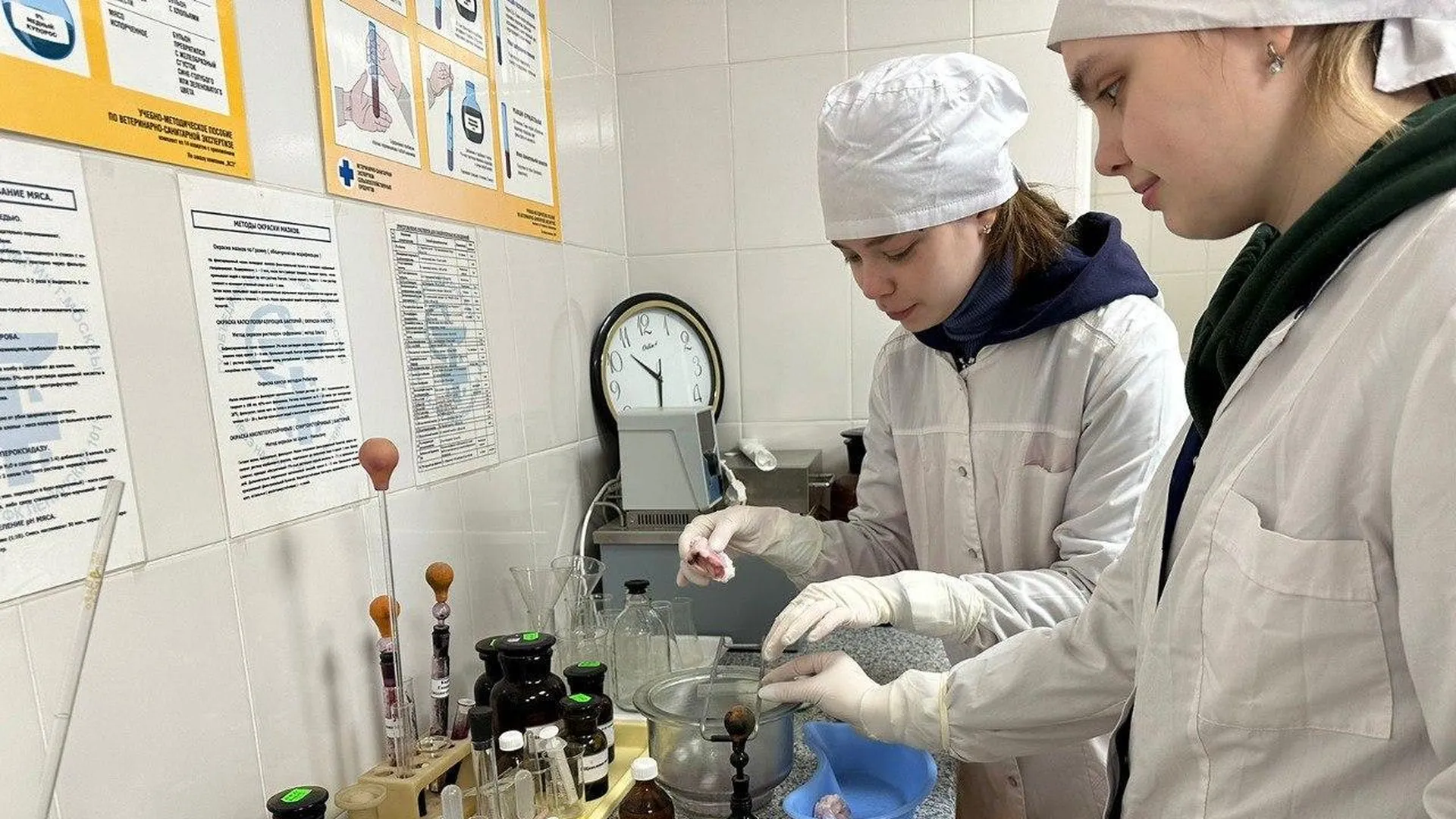 Подмосковные студенты ветеринарной специальности прошли практику в Подмосковье
