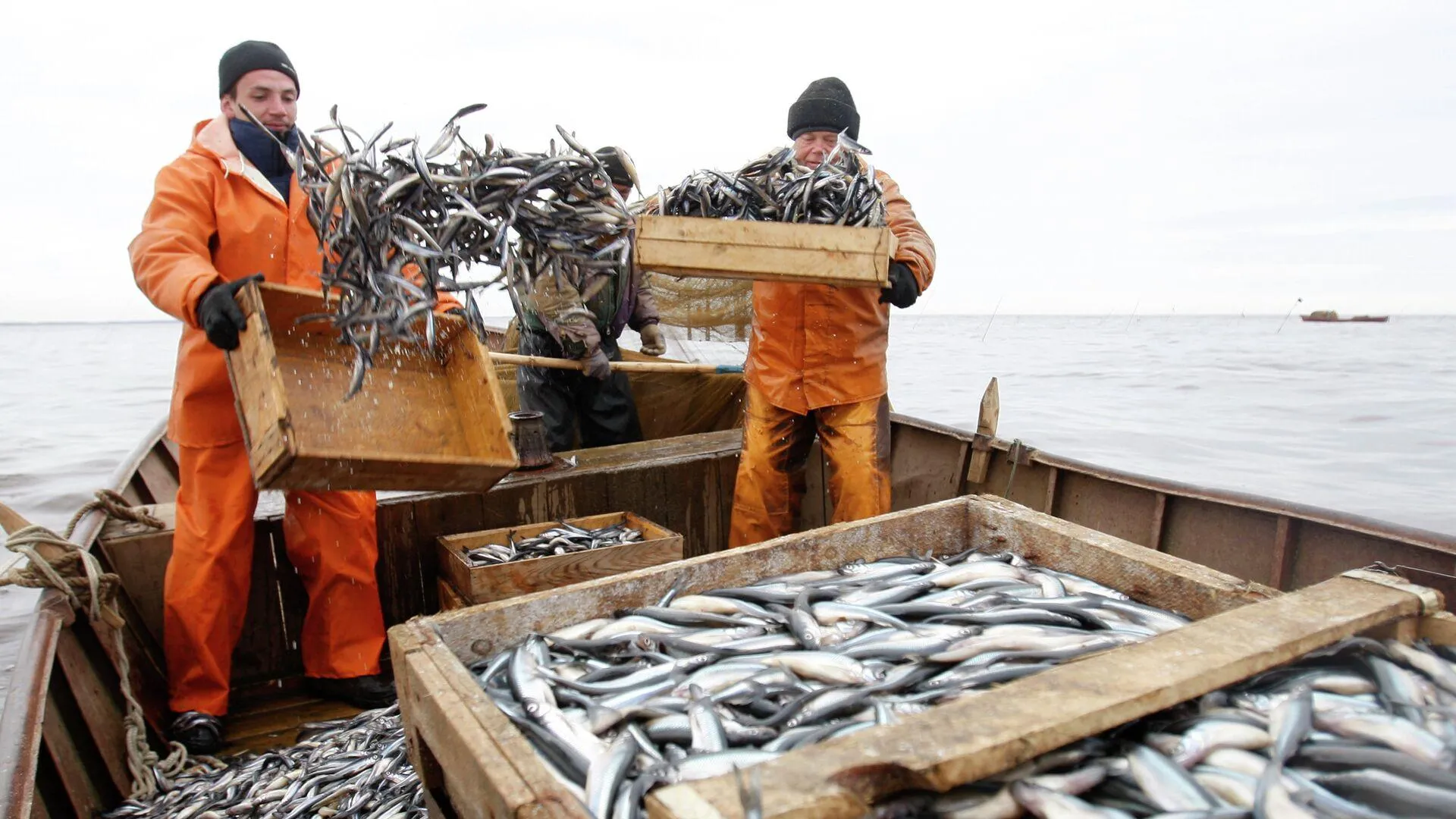 Активы приморских рыбопромышленников перешли в собственность государства