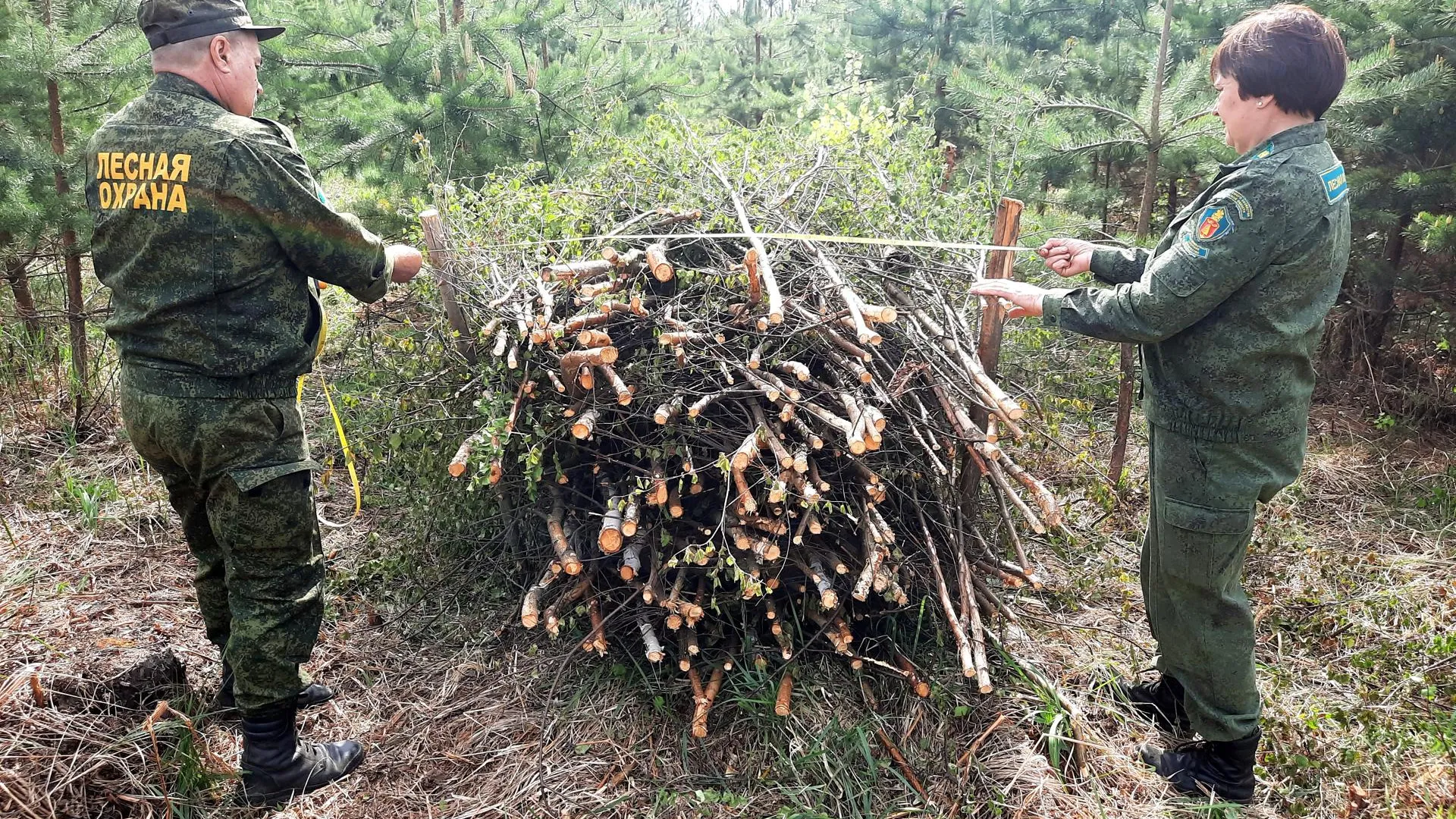 Комитет лесного хозяйства Московской области