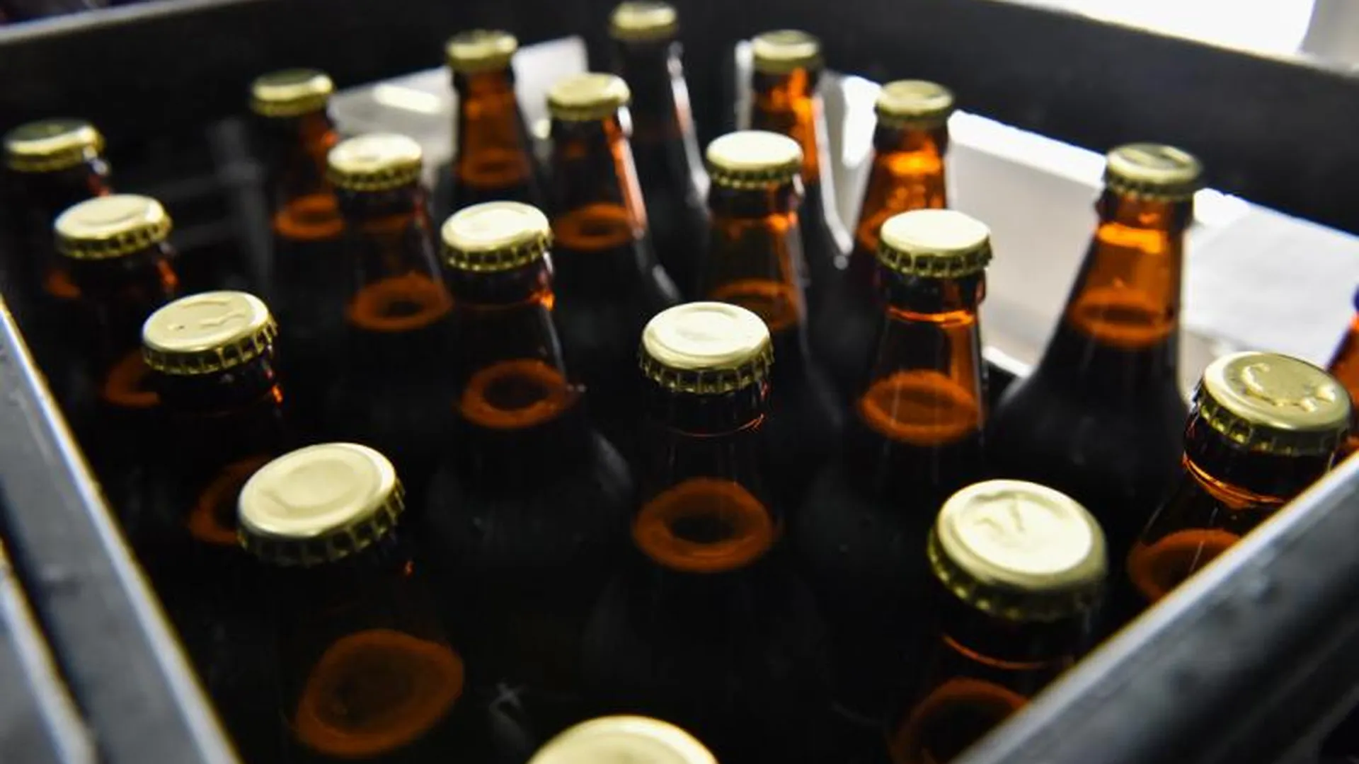 Ученые: бокал пива в день помогает уменьшить риск возникновения инсульта