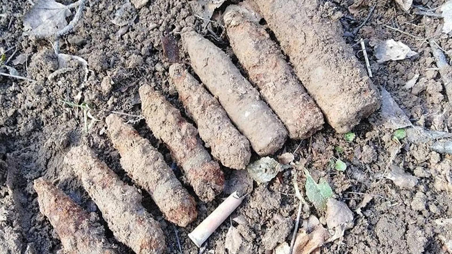 Парень из Климовска искал старинные монеты, а нашел схрон боевых снарядов 