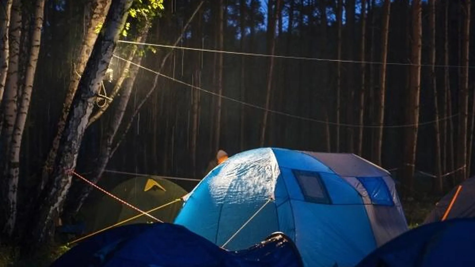Труп туриста нашли в палатке в лесу Воскресенского района