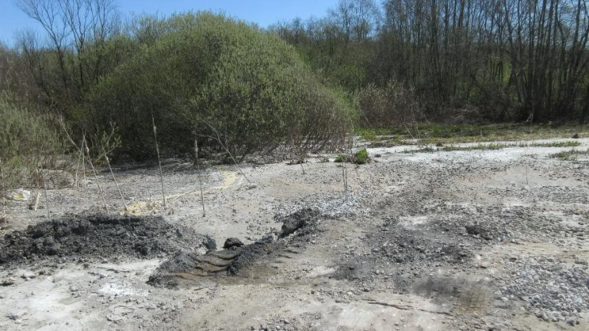 Завод практически полностью забетонировал болото в Истре