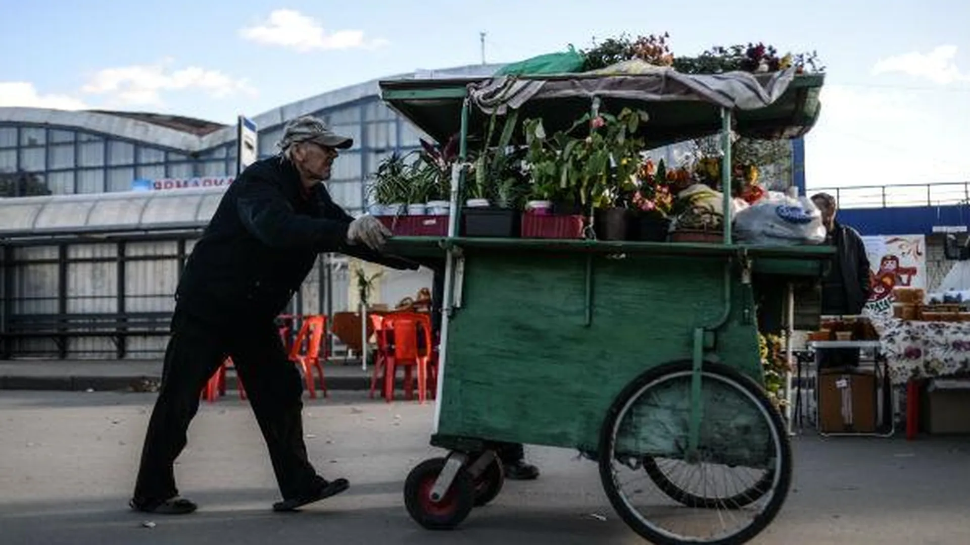 Лидером продаж на «Ценопаде» в Ивантеевке стали садовые товары