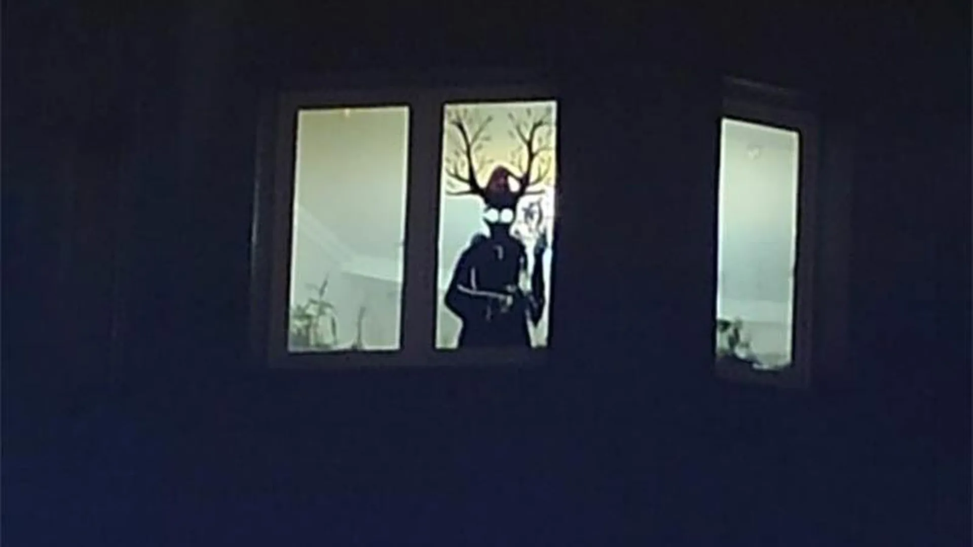Олень в пальто в окне жилого дома пугает детей в Видном