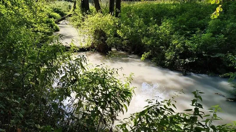 Канализацию, из-за которой страдает река Петрица, реконструируют в этом году
