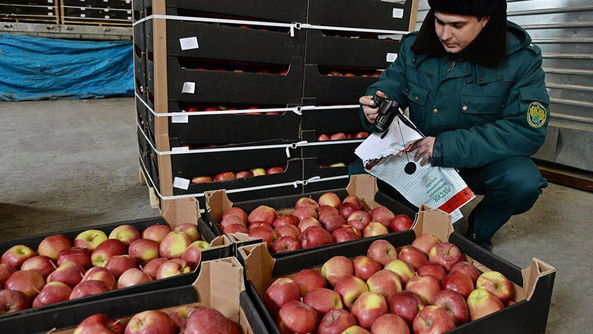 Россельхознадзор ввоз. Россельхознадзор фрукты. Продовольственное эмбарго. Санкционные товары. Импорт овощей и фруктов.