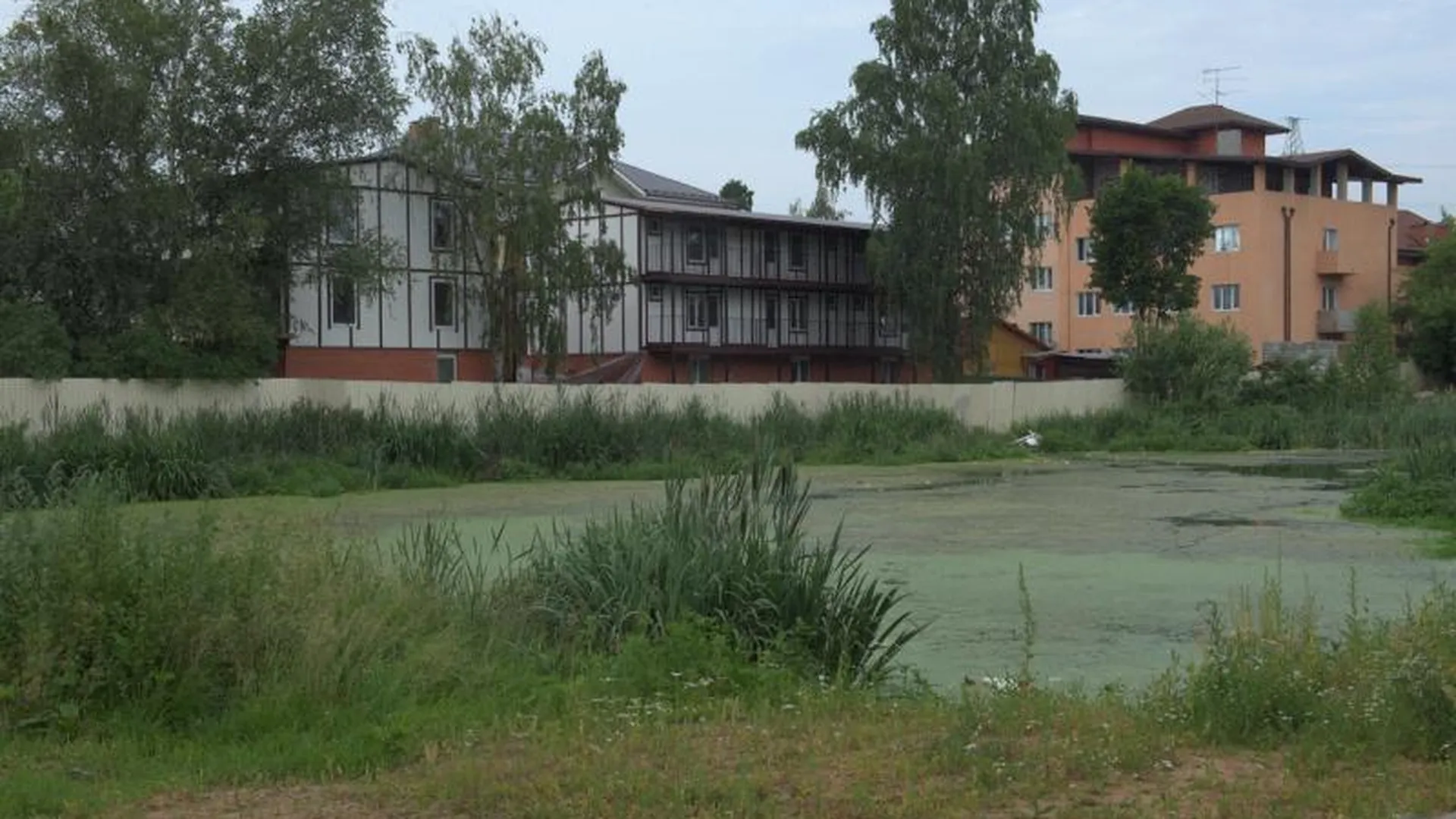 Пруд в Одинцовском районе стал местом стока канализационных отходов