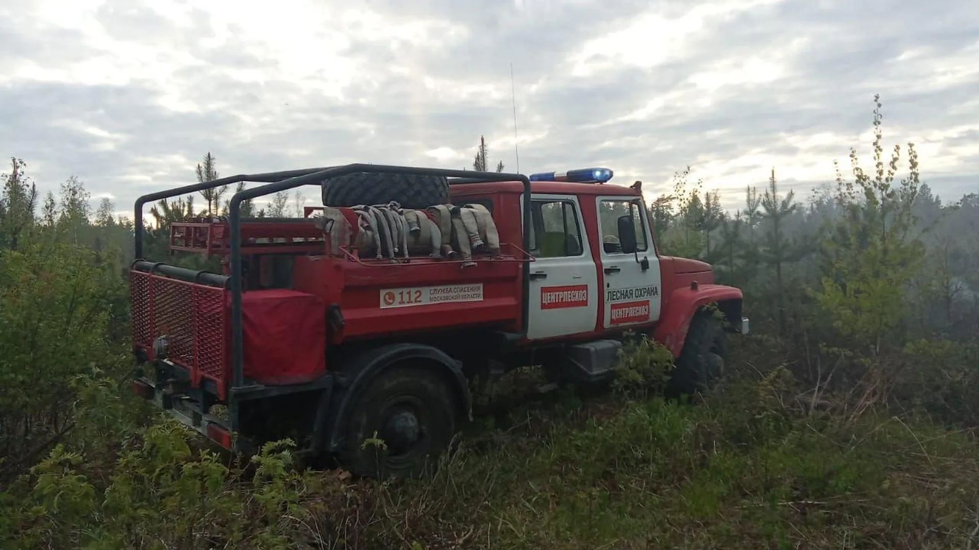 Второй класс пожарной опасности спрогнозировали в Подмосковье